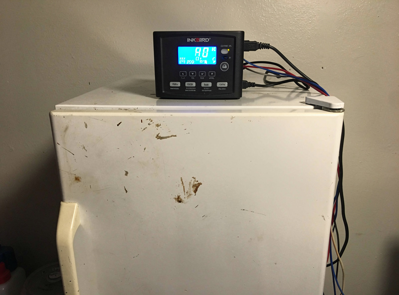 Basic budget curing chamber setup with used white mini fridge and Inkbird controller sitting on top