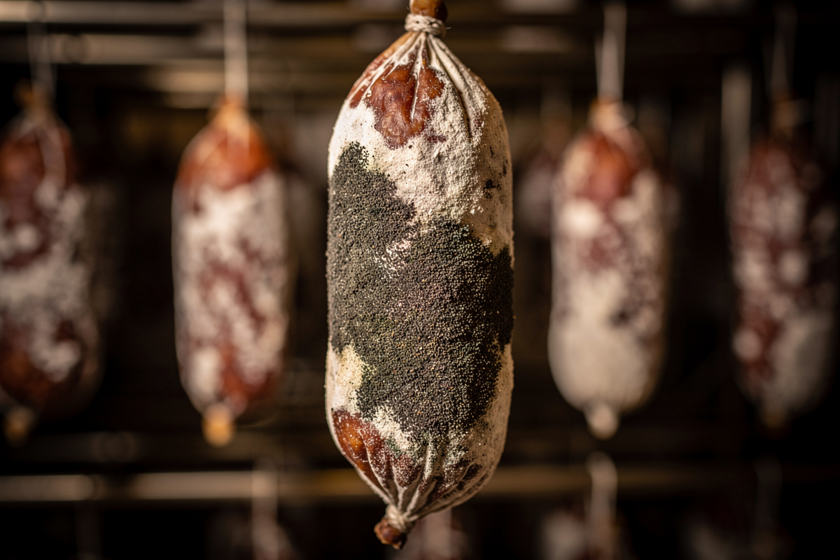 Black Mold on Charcuterie: Is It Dangerous or Just Ugly?