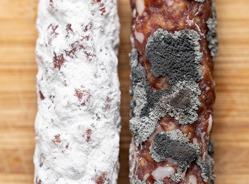 Salami with healthy white penicillium mold rind beside one with patchy black mold colonization