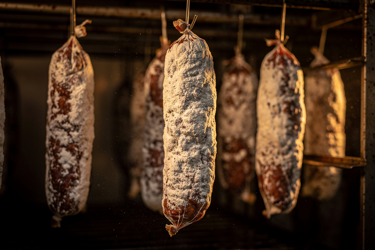 Penicillium Cultures for Salami: Beneficial Mold for Charcuterie Casings