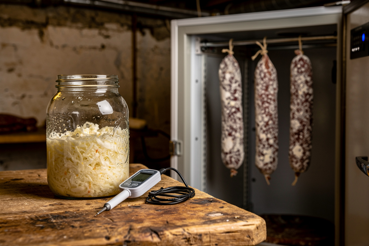 Salami Fermentation Chemistry: pH Drop, Lactic Bacteria, Sauerkraut Science