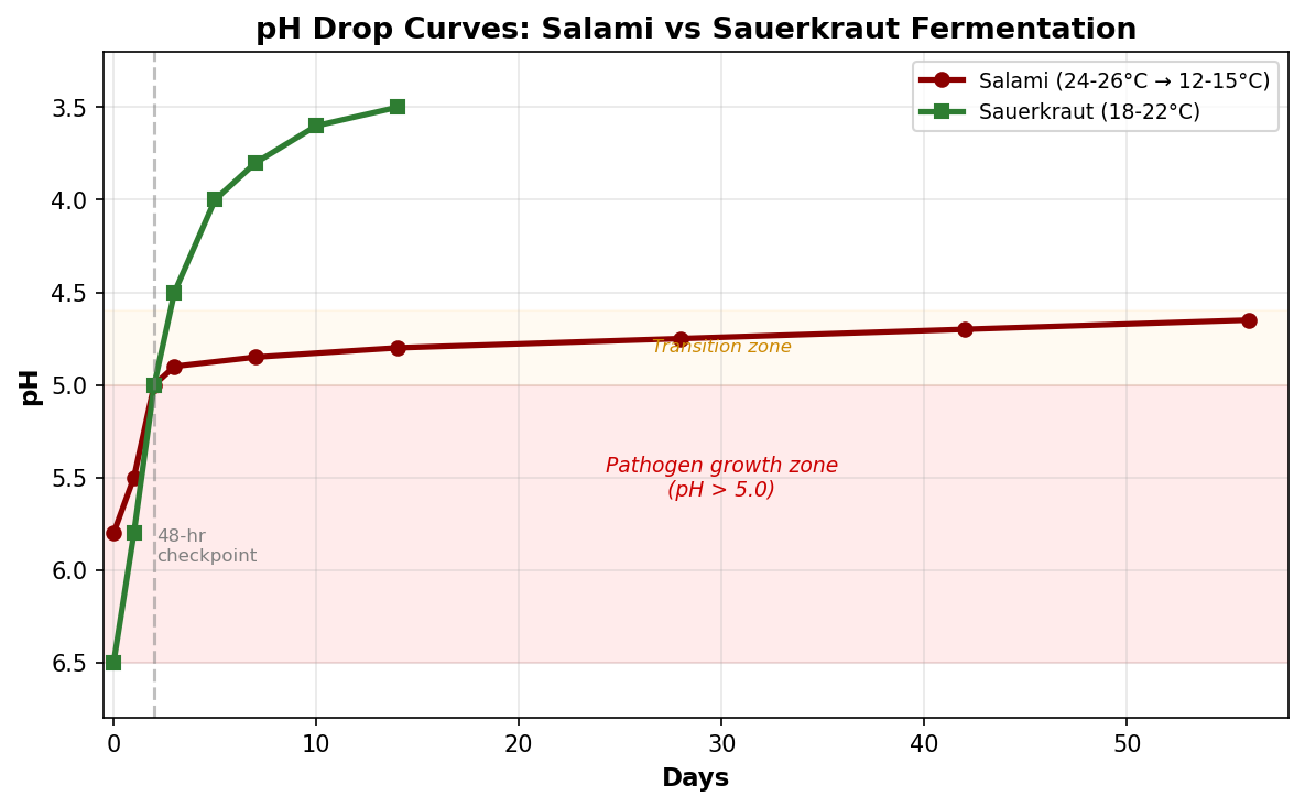 pH drop curves comparing salami fermentation (5.8 to 4.65 over 56 days) and sauerkraut fermentation (6.5 to 3.5 over 14 days), with the 48-hour safety checkpoint and pathogen growth zone marked