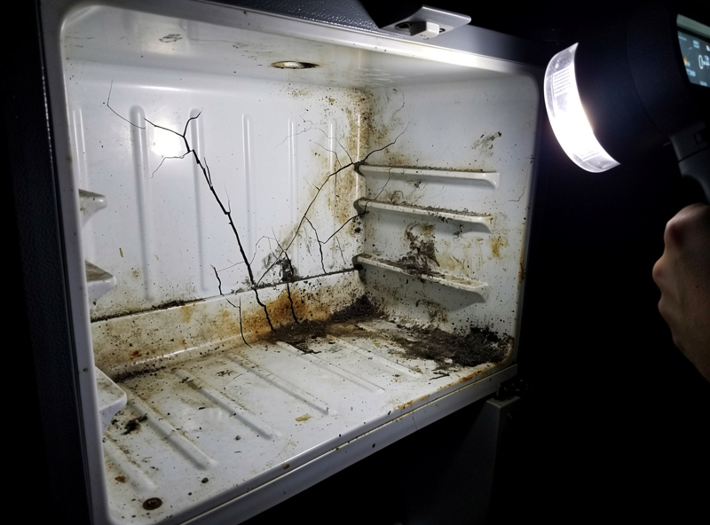 Used mini fridge interior showing cracked white plastic liner and mold stains indicating a walk-away condition