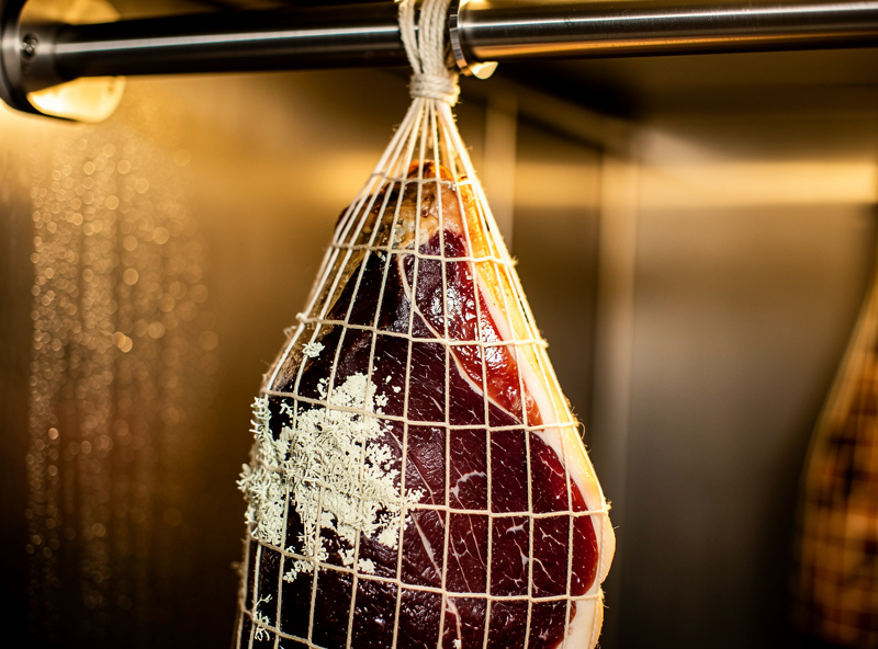 Bresaola hanging in a netting bag with white penicillium mold rind in a curing chamber
