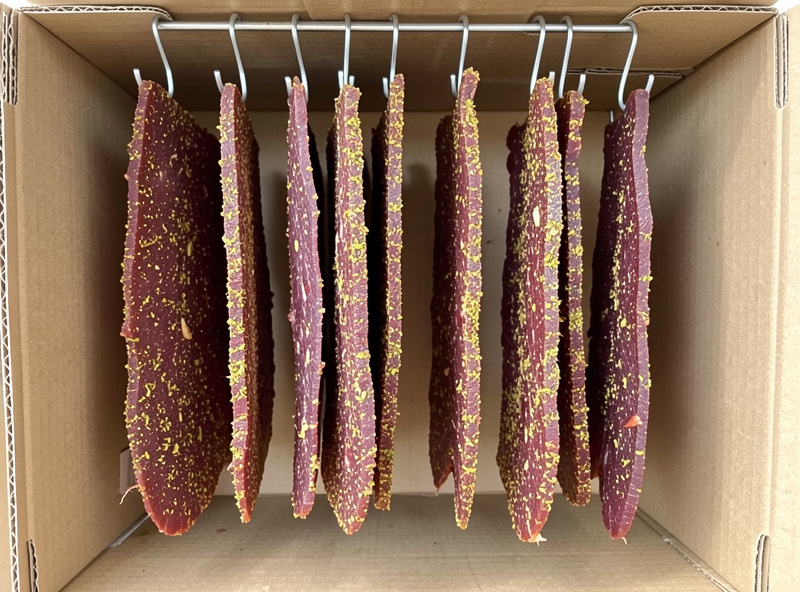 Thick raw biltong strips hanging on hooks air drying in a breezy box with a coriander crust