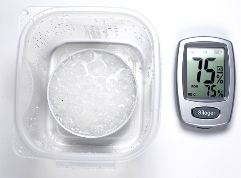 Sealed clear container holding a small dish of wet salt paste and a digital hygrometer reading 75 percent relative humidity for calibration