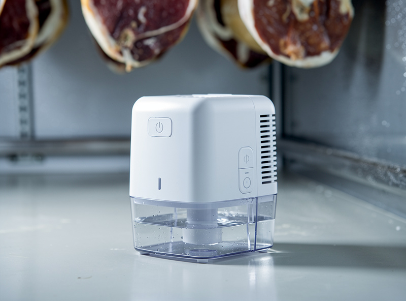 Small thermoelectric Peltier dehumidifier sitting on the floor of a curing chamber with its water tank visible, hanging coppa above