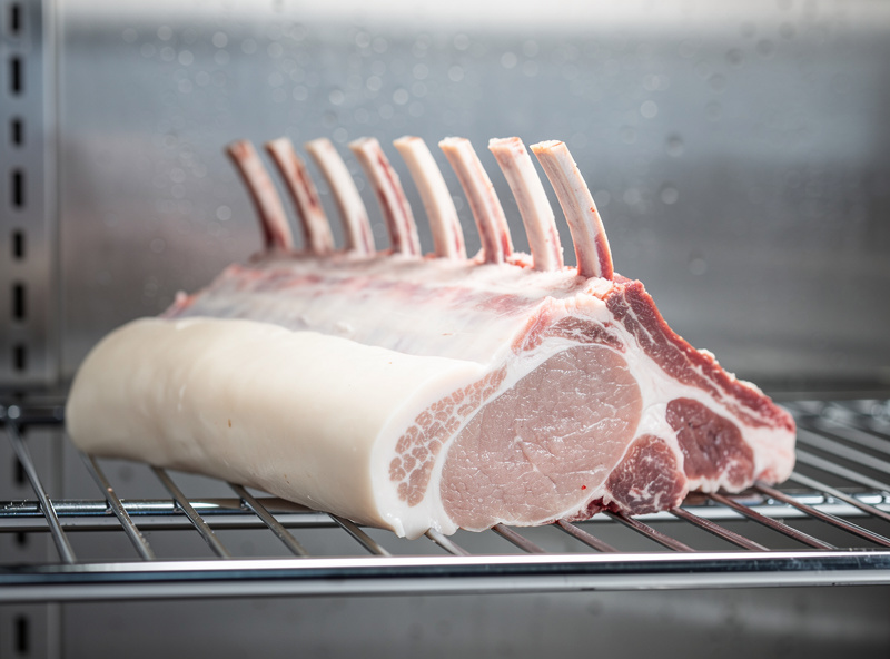 Bone-in pork rack with a thick fat cap dry aging on a wire rack in a controlled chamber