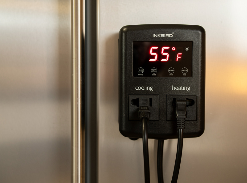 Inkbird ITC-308 dual-stage temperature controller mounted on the side of a converted-fridge curing chamber, display reading 55 degrees Fahrenheit with cooling and heating outlets