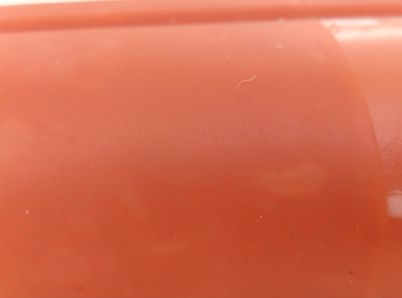 Close-up of a smooth matte collagen casing salami surface with no white mold growth