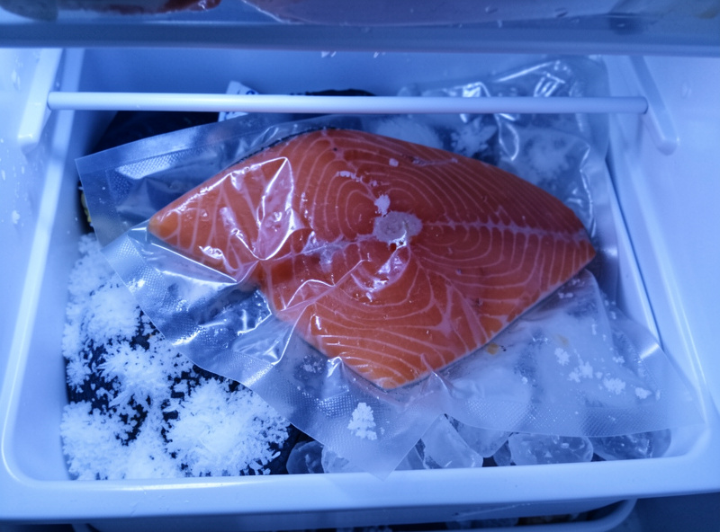 A vacuum-sealed piece of finished gravlax being placed into a home freezer drawer for longer storage
