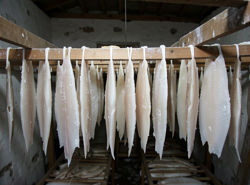 Salted cod fillets hanging to dry on racks in a cool airy curing space until stiff and pale