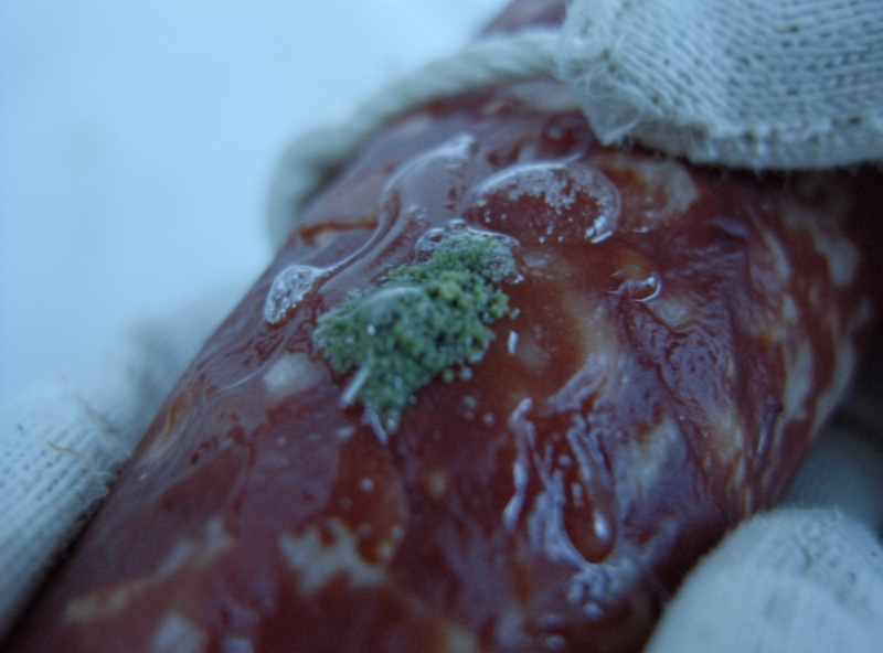 A brine-dampened cloth wiping a small green mold patch off a cured sausage casing