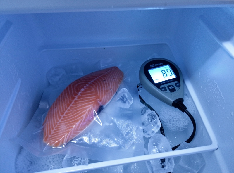 A salmon fillet in a home freezer beside a thermometer reading well below minus twenty Celsius before curing