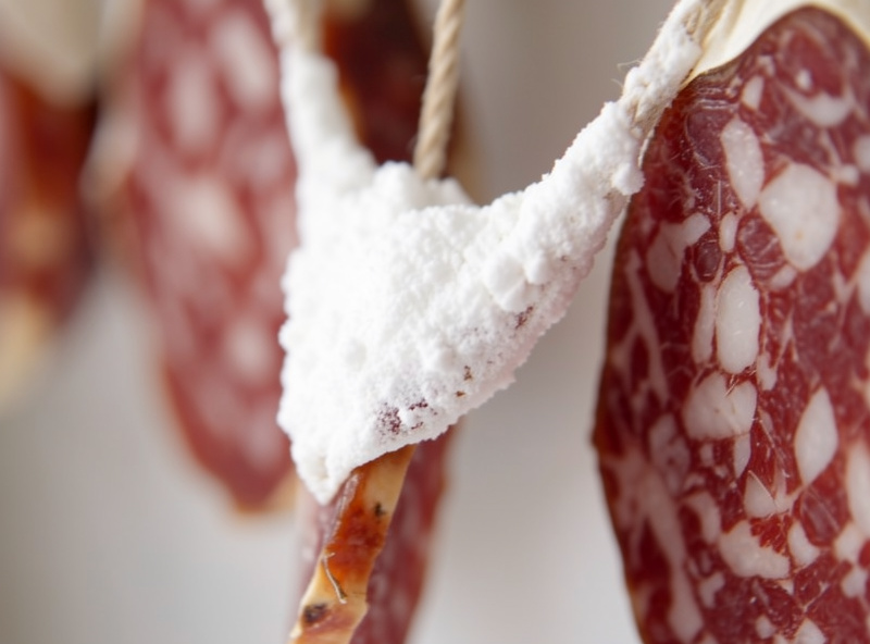 Powdery white mold bridging from one hanging salami onto an adjacent piece